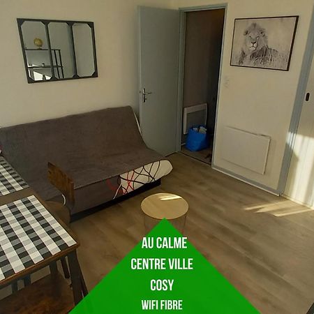 Apartament Petit Cocon Tarbais -Wifi-Parking Tarbes Zewnętrze zdjęcie