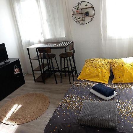 Apartament Petit Cocon Tarbais -Wifi-Parking Tarbes Zewnętrze zdjęcie